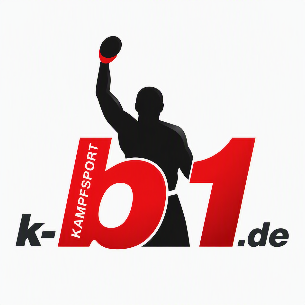 Kampfsport b1 e. V.